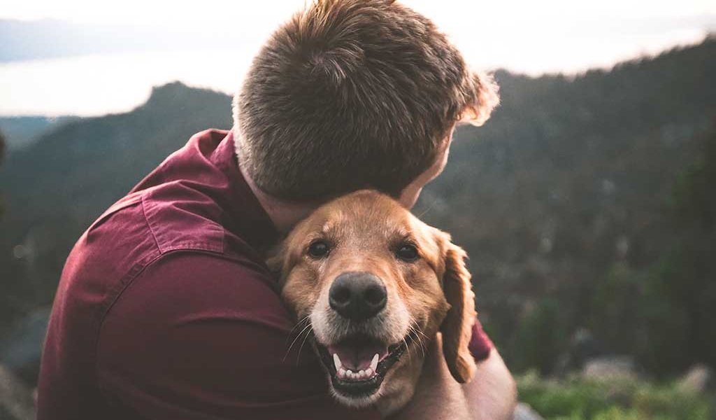 eric-ward-ISg37AI2A-s-unsplash eric-ward-ISg37AI2A-s-unsplash